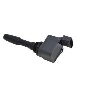 Quality 07P905110B Engine Parts Ignition Coil wholesale