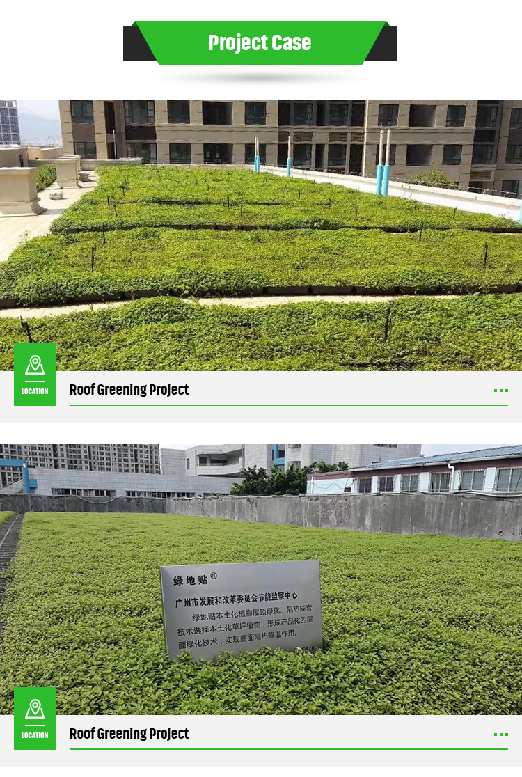 Seed Plant Tray for Everyday Season and Flower/Green Plant in Rooftop Decoration