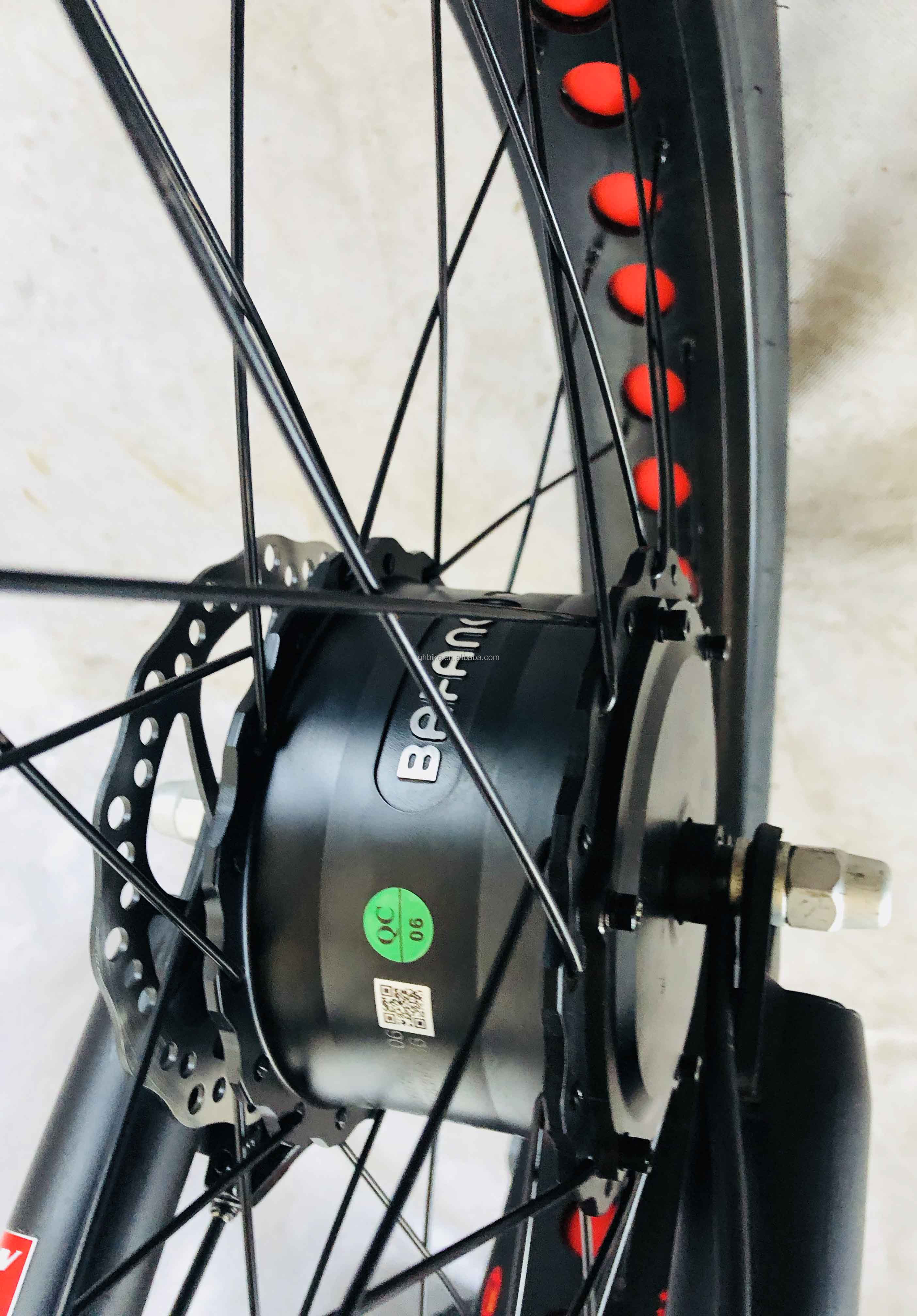 48V 750W Front Motor 24" Adult Electric Tricycle with 17AH Lithium Battery and Fat Snow Tires