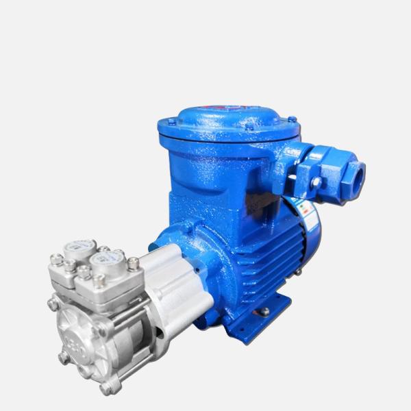 Up To 200 Feet Head Magnetic Drive Centrifugal Pump For High Temperature