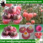 EPE Fruit Pan cap product