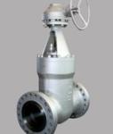 Pressure Seal Gate Valves