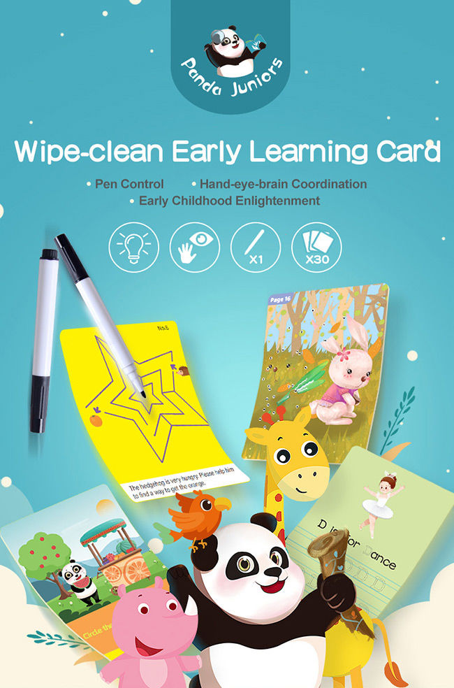 6 Themes Kids Early Learning Flash Cards Train Children'S Visual Memory For 3 Year Olds 2