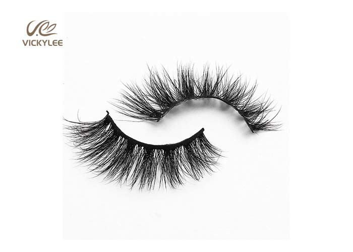 Fan Shaped Handcrafted 19MM Natural False Eyelashes