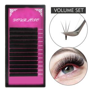 Quality 8D Volume Lash Extensions wholesale