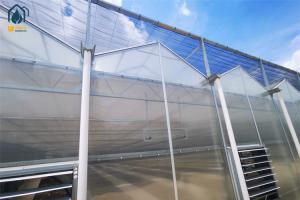 Quality Large Agricultural Tunnel PC Greenhouse Polycarbonate Vegetable Growing Greenhouse wholesale