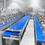 Coconut Full Automatic Coconut Milk Processing Equipment SUS316L