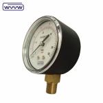 mbar inH2O Low pressure bellows pressure gauge 2.5"