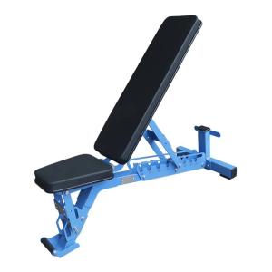 Quality Blue Tube Full Gym Equipment Adjustable Weight Dumbbell Workout Bench wholesale