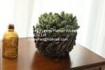 2016 new style wood piece garden baskets round shape