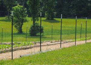 China Heavy Duty Metal T Post / Green Fence Post Low Carbon Steel Material on sale