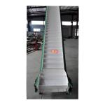 Manufacturer Supply Stainless Steel Conveying Belt/Belt Conveyor/Conveyor Food