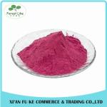 100% Natural Fruit Cranberry Juice Powder