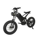 Off-Road Electric Fat Tire Bike Rear Hub Motor 20" Wheel Size for Exciting