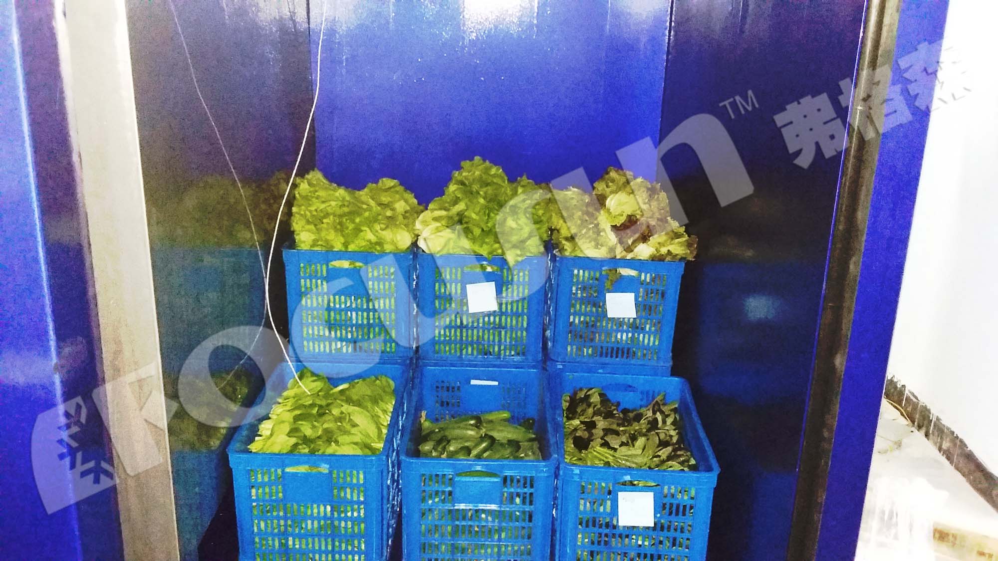 Leafy Vegetables Vacuum Cooler Bock Compressor -5C 5C Temperature Fast Cooling Machine