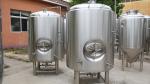 Bright Beer Unitank / Stainless Steel Beer Fermenter