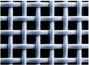 PA-GG mesh