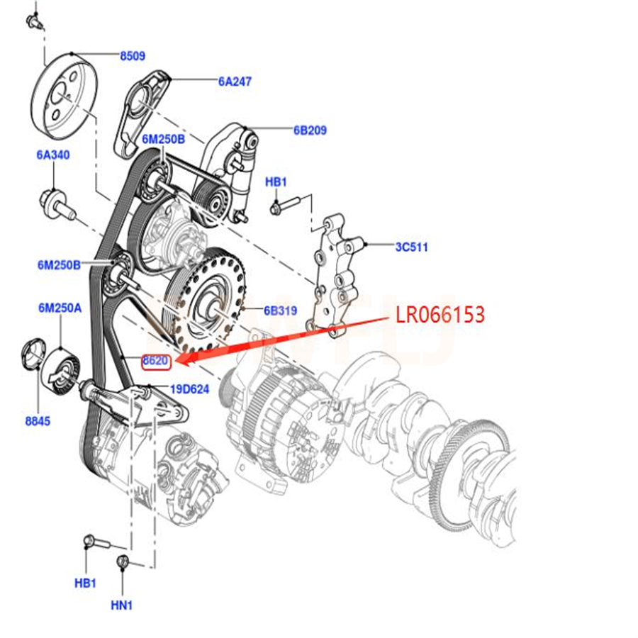 OEM Customized Black Drive Belt for Land Rover Range Rover Evoque Discovery Sport 2.0L 16V Petrol