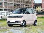 Wuling Mini SUV Electric Car 4 Wheel 300KM Adult New Electric Automotive