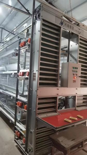 Chicken Egg Laying Hens Cage Commercial Poultry Farming Equipment Automated