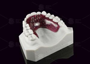 Quality Hygienic Tongue Crib Appliance Kids / Teens Tongue Guard Orthodontic wholesale