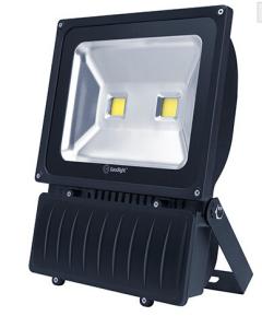 Quality Goodlight 80W Industrial LED Flood Light (Daylight) wholesale