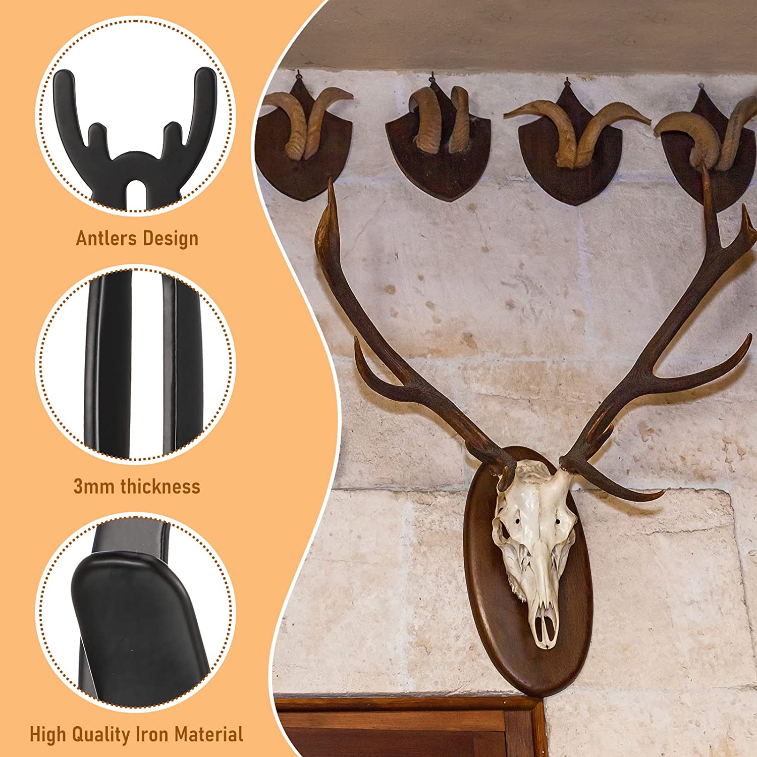 Customized Instruction Offered for European Mount Skull Hanger Deer Skull Large Hooks