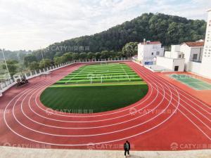 Quality Sports Surface Supplier ESP Seamless Prefabricated Running Track wholesale