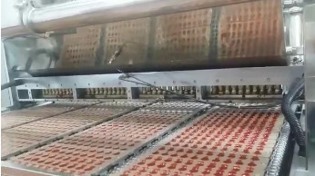 Pure Apple Gummy Production Line 100Kg/H Fruit Jelly Gum Candy Production Line CE Approval