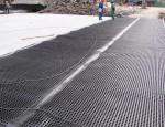 30mm-60mm HDPE Storage Drainage Board for Greenroof Membrane in Black and Green