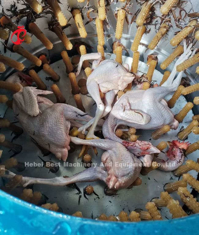 Poultry Farm Slaughterhouse 1100w Chicken Feather Plucking Machine In Nigeria Doris