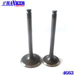 MD159502 Mitsubishi 4G63 Exhaust Valve And Intake Valve MD197193