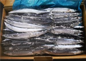 Quality Whole Round #2 BQF Freezing Frozen Pacific Saury wholesale