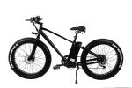 500W 750W Fat Tyre Electric Sport Bike With Double Disc Brake LCD Display High