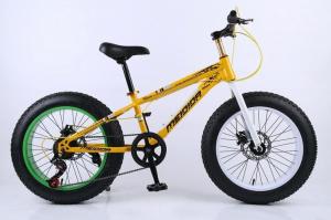 Quality Steel Frame 21 Speed 26 Inch Electric Fat Bike wholesale