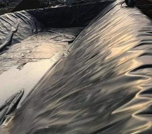 Quality HDPE LLDPE Impermeable Geomembrane Liner Fish Farm Pond wholesale