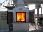 Animal Body Pet Incinerator Customized Livestock Incinerator