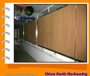 Quality North Husbandry -Poultry Farm Evaporative Cooling Pad, Other Animal Husbandry wholesale
