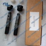 Diesel common rail Fuel Injector 0432193419 for A0030100551