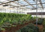 Agriculture Light Deprivation Blackout Greenhouse Good Thermal Insulation For