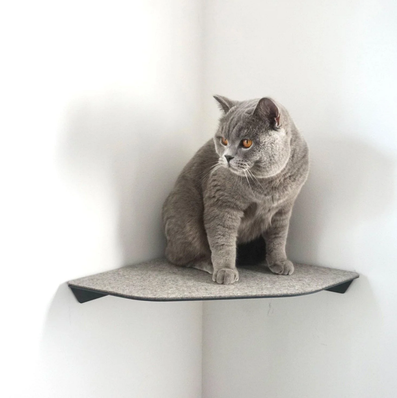 Standard Copper Cat Wall Plate Shelves Steps for Wall Mounted Cat Scratching Platform