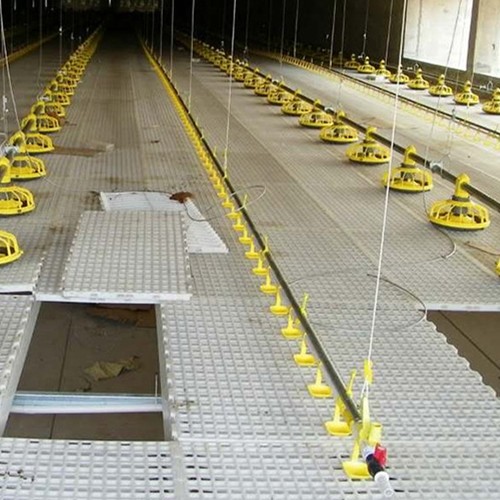 Chicken 15 Nipples/3m Automatic Drinker Cup System