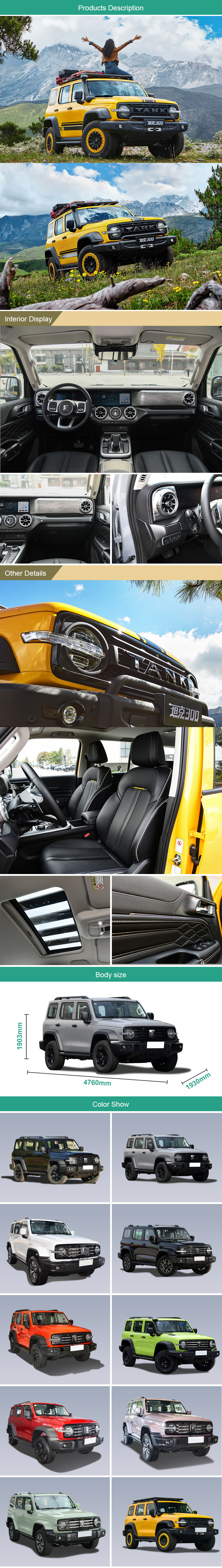 2024 Great Wall 300 2.0T Petrol Euro VI 4WD 227Ps 167kW 387Nm Compact SUV with Fuel Efficiency and Power