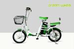 12Ah Lithium 16"Electric Bike Pedal Assist Steel Drum Brake With Lock 36Kgs