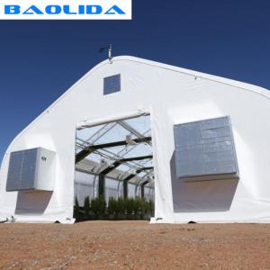 Quality Sides Ventilation Light Deprivation Greenhouse Hot Dip Galvanized wholesale