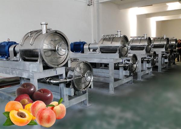 Cheap Industrial Food Standard Apple Processing Line Large Capacity Water Saving for sale