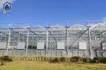 Agriculture Vegetable Flower Glass Greenhouse Farm Commercial Greenhouse