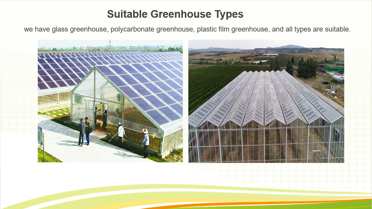 Double Layers Glass Cover Photovoltaic Greenhouse Solar Panel Greenhouse