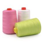 Durable Knotless 100 Spun Polyester Sewing Thread 20 / 2 20 / 3 50 / 3 3000M