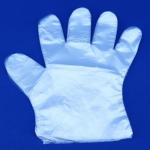 Transparent Thin Waterproof Disposable Gloves Dustproof